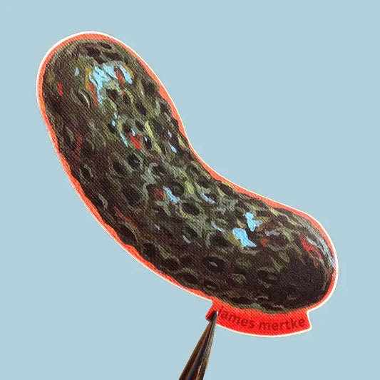 This sticker depicts a painting of a whole pickle with an orange outline.