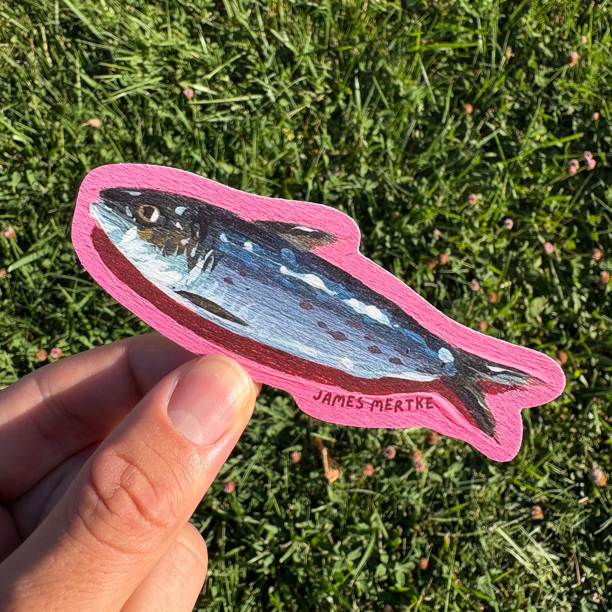 A sticker of a painted sardine with a pink background is being held in a hand over the grass.